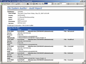 File System Auditor Sample of Audit Report