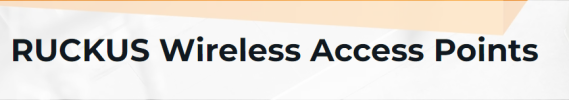 ruckus3 RUCKUS® wireless access points (APs)