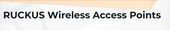 RUCKUS® wireless access points (APs)